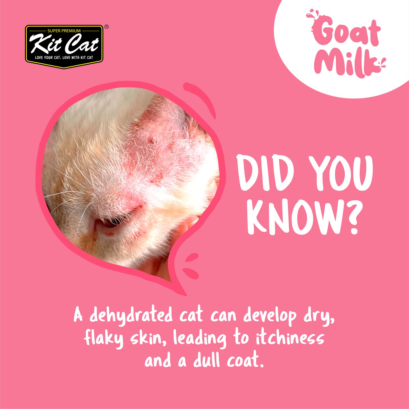 [LISTING IMAGE] GOAT MILK-02.jpg